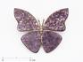 Брошь «Бабочка» с лепидолитом, 4,2х3,5 см, 17799, фото 1