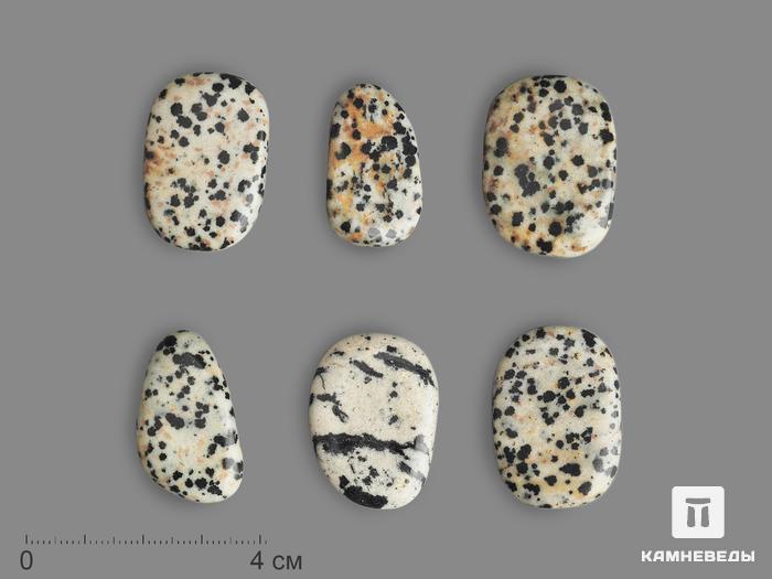 Яшма далматиновая (трахириодацит), галтовка 2-3 см (5-10 г), 18011, фото 1