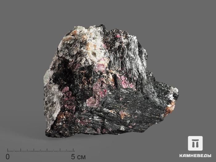 Эгирин с эвдиалитом, сросток кристаллов 11,3х10х5 см, 18093, фото 1
