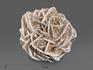 Гипсовая роза, 5х4,2 см, 18718, фото 1