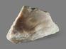 Нефрит моховой, полированный срез 14,5х12,7х3,4 см, 19612, фото 2