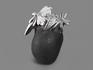Целестин на аргиллите «хризантемовый камень», 12,5х9,5х8,5 см, 19529, фото 2