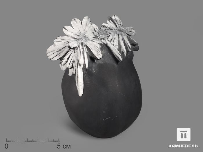 Целестин на аргиллите «хризантемовый камень», 12,5х9,5х8,5 см, 19529, фото 1