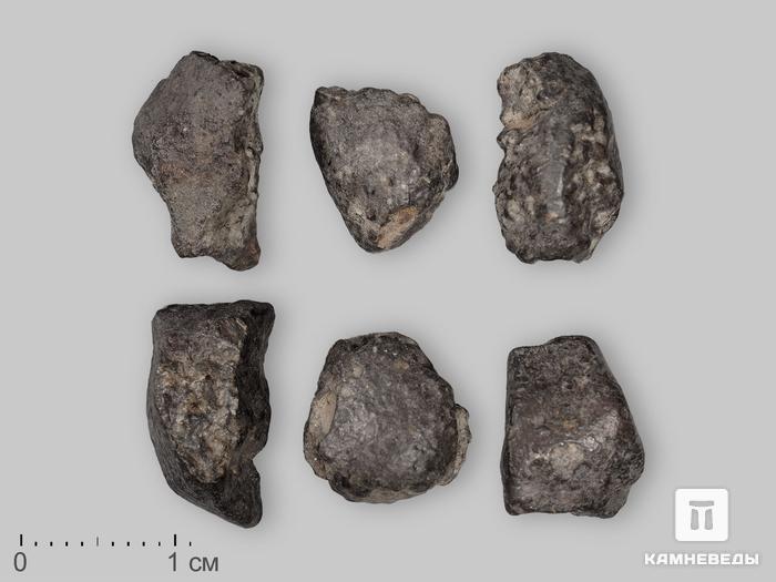 Метеорит NWA 869, 1-2 см (1-2 г), 19824, фото 1