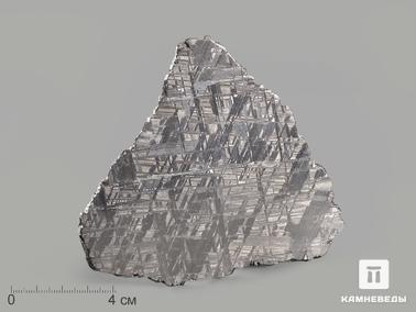 Метеориты. Метеорит Muonionalusta, пластина 11,4х9,9х0,2 см (87,2 г)