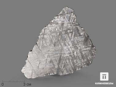 Метеориты. Метеорит Muonionalusta, пластина 10,3х9,4х0,2 см (81,6 г)