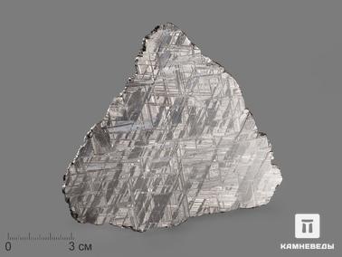 Метеориты. Метеорит Muonionalusta, пластина 12х10,5х0,2 см (119 г)