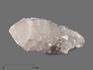 Кварц кактусовидный, кристалл 12х4,5х4 см, 17464, фото 7