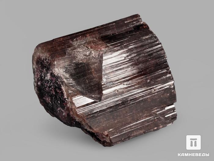 Турмалин (рубеллит), кристалл 3,2х3х1,7 см, 19977, фото 2
