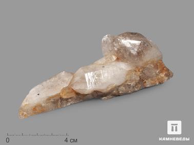 Анатаз, Кварц. Анатаз, кристаллы на кварце 11,6х4,2х3,8 см
