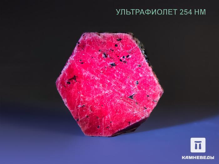 Корунд, красный кристалл 6-6,5 см, 20553, фото 4