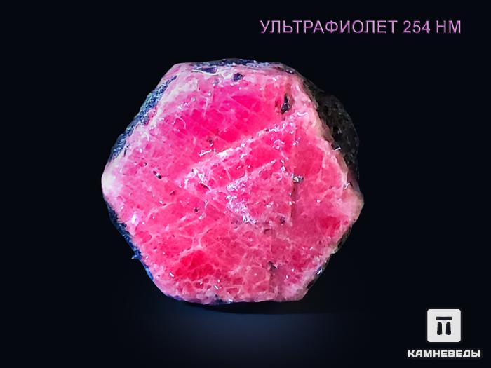 Корунд, красный кристалл 3-3,5 см, 10-115/8, фото 3