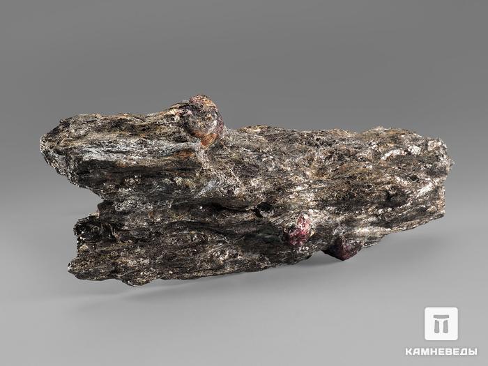 Гранат (альмандин) в метаморфическом сланце, 15,2х6,3х3,5 см, 20656, фото 2
