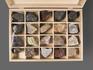 Коллекция полезных ископаемых (20 образцов, состав №1) в деревянной коробке, 20891, фото 2