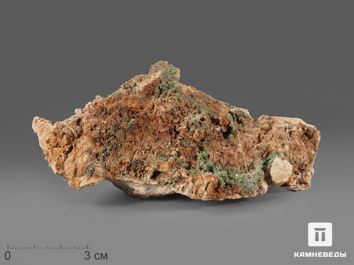 Пироморфит, 13х8х3,2 см, 10-205/6 (К-13), фото 1
