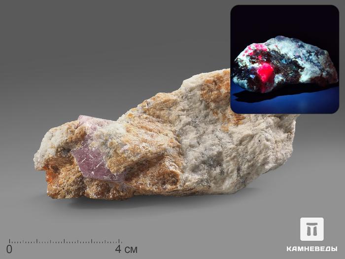 Шпинель, кристалл с клиногумитом в породе 11х5,8х4 см, 10-197/24, фото 1