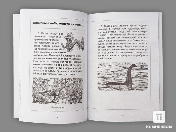 Книга: М.Стайн «Какой была эпоха динозавров?», 21636, фото 2
