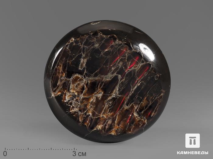 Аммолит (ископаемый перламутр аммонита), 5,9х5,8х1 см, 21843, фото 1