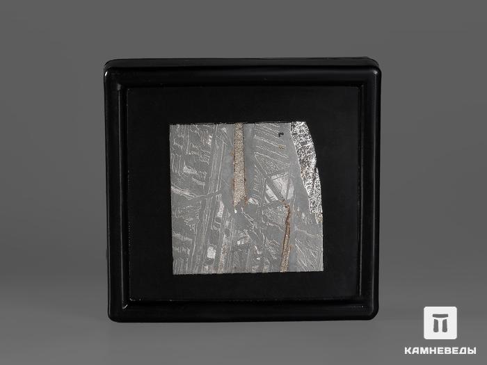Метеорит Aletai в пластиковом боксе, 3,5х3,5х0,2 см (13-14 г), 21815, фото 3