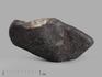 Метеорит Челябинск LL5,1,5-3 см (3-3,5г), 22053, фото 4