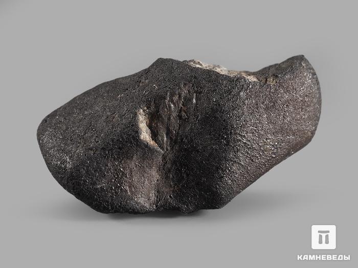 Метеорит Челябинск LL5,1,5-3 см (3-3,5г), 22053, фото 5