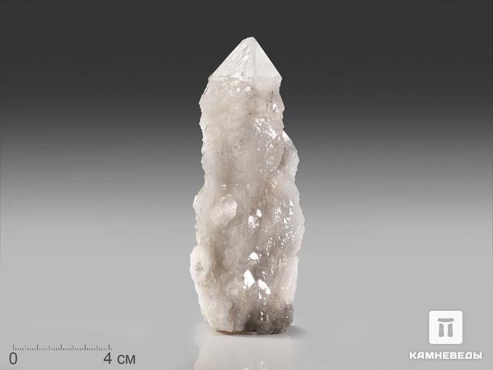 Кварц кактусовидный, кристалл 12х4,5х4 см, 17464, фото 1