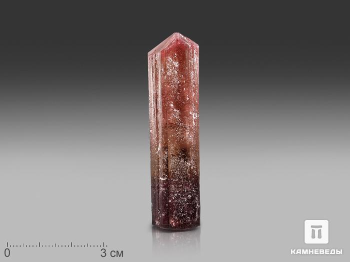 Турмалин (рубеллит), кристалл 7х1,8х1,5 см, 22994, фото 1