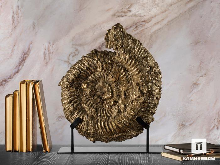 Аммонит пиритизированный на подставке, 48х39х11,3 см, 12100, фото 4