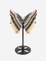 Бабочка из оникса на металлической подставке, 26х14х9,5 см, 24346, фото 1