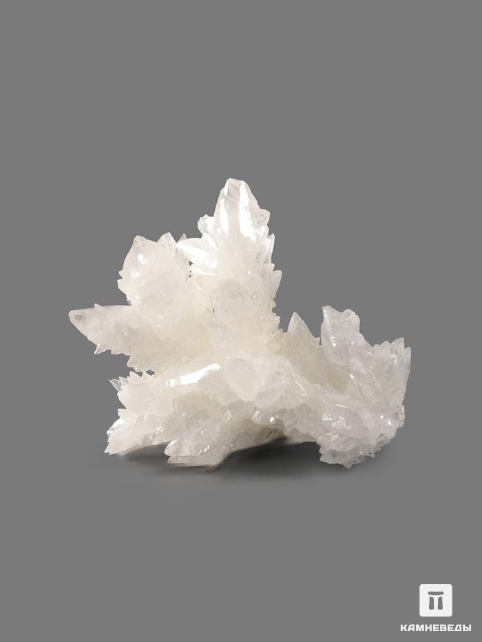 Арагонит белый, 8,5х7,2х5,8 см, 23846, фото 2