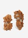 Глендонит (беломорская рогулька), 5,1х2,7х2,2 см, 10-259/4, фото 3