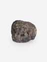 Угольная почка (Coal boll), 4,0х3,3х2,9 см, 25333, фото 1