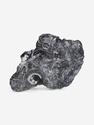 Угольная почка (Coal boll) с отпечатком палеофлоры, 29х19,7х4 см, 25357, фото 1