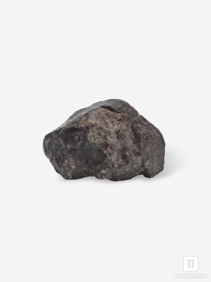 Метеорит NWA 869, 3х2,2х1,5 см (16-17 г), 10-110/5, фото 1