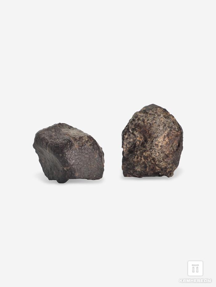 Метеорит NWA 869, 3х2,2х1,5 см (16-17 г), 10-110/5, фото 3
