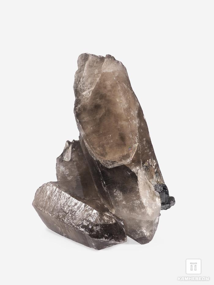 Дымчатый кварц (раухтопаз) с гюбнеритом и вольфрамитом, сросток кристаллов 15х11х6,5 см, 25127, фото 2