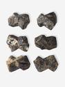 Ставролит, кристалл 2,5-3 см, 17575, фото 2