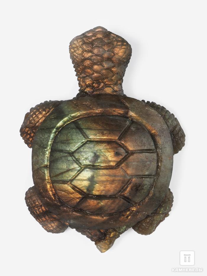 Черепаха из лабрадора, 6,6х5х2 см, 26629, фото 3
