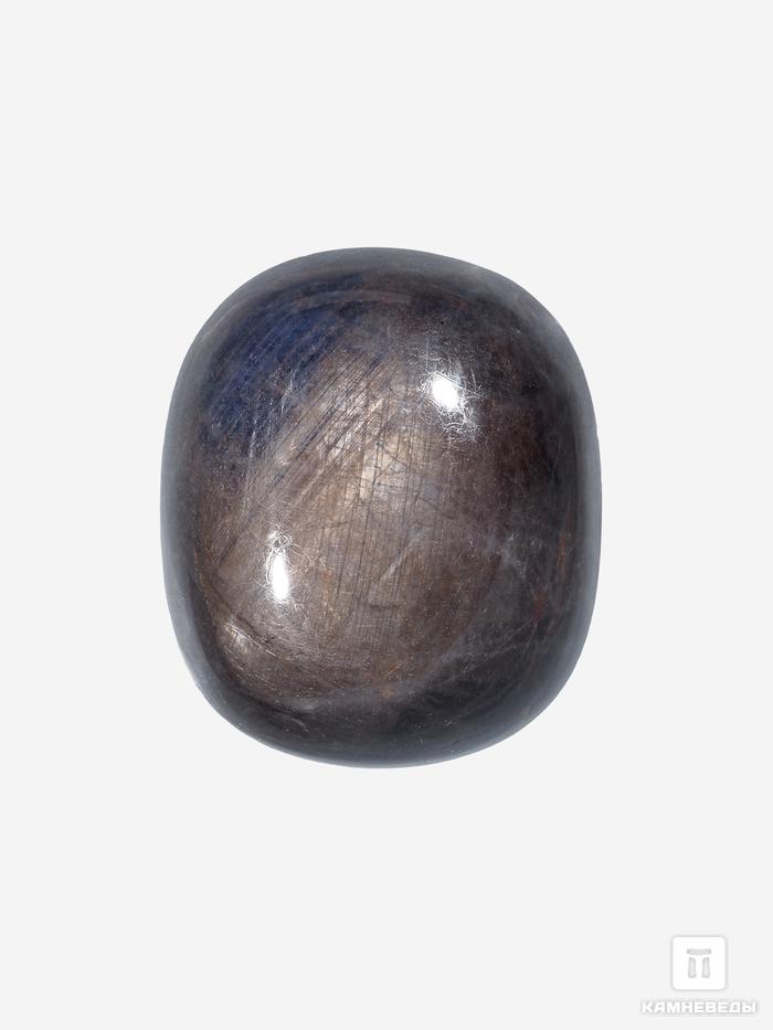 Корунд «Чёрный сапфир», кабошон 2,9х2,5х1,2 см (105 ct), 26745, фото 1