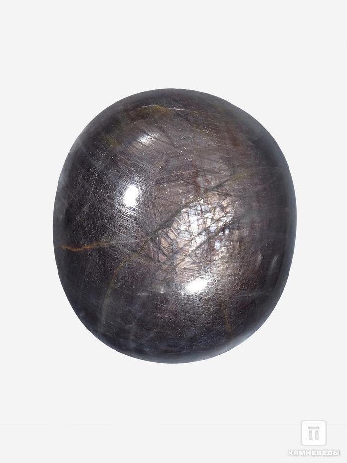 Корунд «Чёрный сапфир», кабошон 3,1х2,8х1,2 см (113 ct), 26763, фото 1