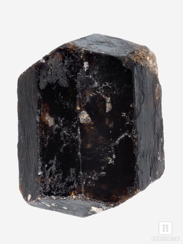 Дравит (турмалин), двухголовый кристалл 3,5х2,6х2,1 см, 26926, фото 2