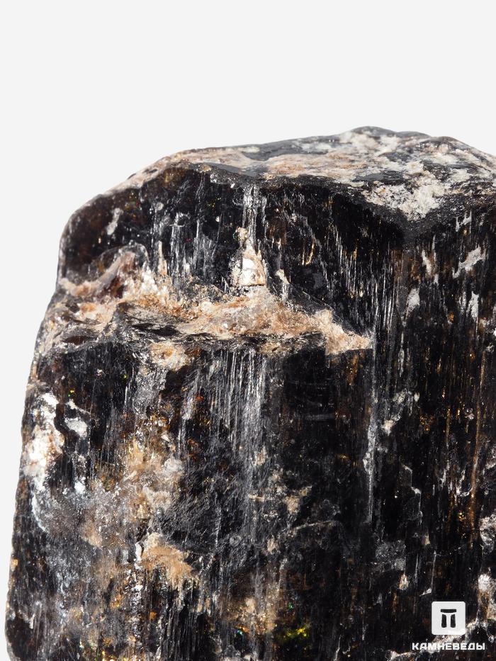 Дравит (турмалин), двухголовый кристалл 4х3,3х2,6 см, 26922, фото 3