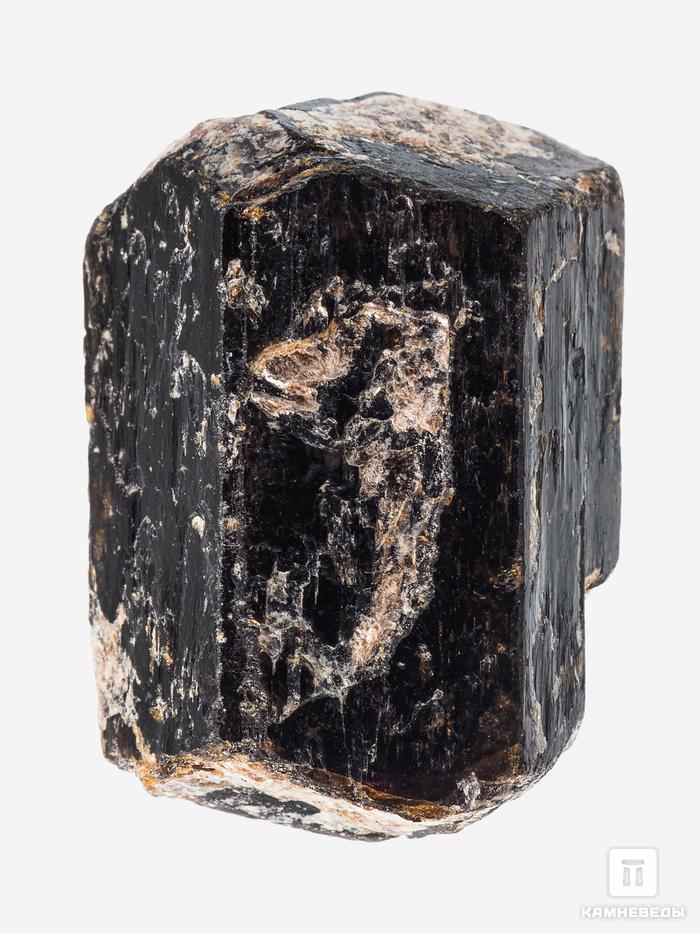Дравит (турмалин), двухголовый кристалл 4х3,3х2,6 см, 26922, фото 1