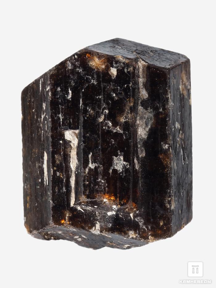 Дравит (турмалин), двухголовый кристалл 3,5х2,9х2,5 см, 26923, фото 1