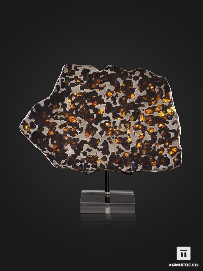 Метеорит Brenham с оливином, пластина на подставке 18х13х0,3 см (219,3 г), 25496, фото 1