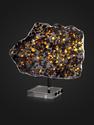 Метеорит Brenham с оливином, пластина на подставке 18х13х0,3 см (219,3 г), 25496, фото 3