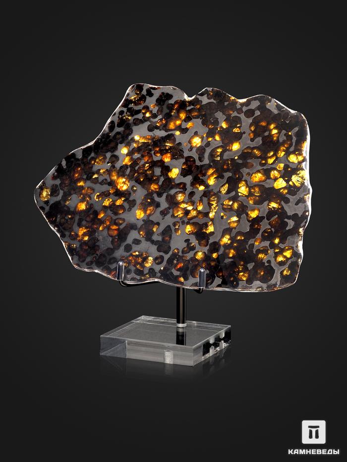 Метеорит Brenham с оливином, пластина на подставке 18х13х0,3 см (219,3 г), 25496, фото 3