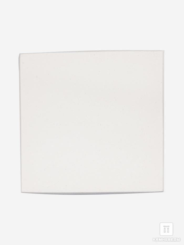 Бисквит для определения цвета черты (белый), 5,8х5,7х0,5 см, 100-2, фото 1