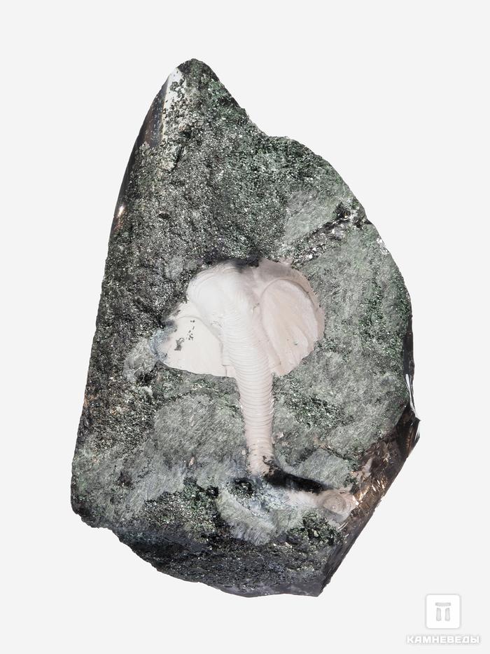 Резьба «Слон» из горного хрусталя (кварца) с хлоритом, 9,5х6,5х4,5 см, 27865, фото 2