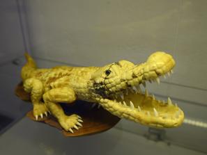 Янтарь. Крокодил из балтийского янтаря